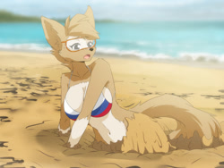 Size: 1280x960 | Tagged: suggestive, artist:zekkymzn, zabivaka (fifa), canine, mammal, wolf, anthro, fifa, 2021, beach, belly button, big breasts, bikini, black nose, breasts, clothes, cloud, commission, digital art, ears, eyelashes, female, flag bikini, fur, goggles, hair, ocean, open mouth, quicksand, rule 63, russia, russian flag, sand, sky, solo, solo female, swimsuit, tail, thighs, tongue, water, wide hips