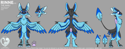 Size: 3834x1497 | Tagged: safe, artist:felisrandomis, artist:linuxpony, oc, oc only, oc:rinne (linuxpony), avali, fictional species, semi-anthro, :3, base used, beans, blue eyes, cheek fluff, claws, ear fluff, feathered wings, feathers, fluff, four ears, gray background, head fluff, looking at you, male, reference sheet, signature, simple background, smiling, solo, solo male, tail, tail feathers, text, tongue, tongue out, wings