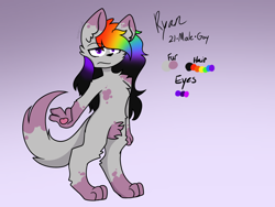 Size: 2048x1536 | Tagged: safe, artist:revenge.cats, furbooru exclusive, oc, oc only, canine, mammal, wolf, anthro, chest fluff, ear fluff, fluff, fur, fursona, gradient background, hair, male, paws, pubic fluff, purple eyes, rainbow hair, reference sheet, shoulder fluff, simple background, solo, solo male, tail, tail fluff