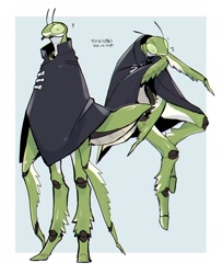 Size: 1253x1543 | Tagged: safe, artist:sannota272, arthropod, insect, praying mantis, anthro, 2021, ambiguous gender, antennae, border, cloak, clothes, digital art, green body, question mark, simple background, solo, white border