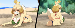 Size: 1280x474 | Tagged: suggestive, alternate version, artist:oppaihobby, isabelle (animal crossing), canine, dog, mammal, shih tzu, anthro, animal crossing, nintendo, 2021, beach, bent over, bikini, black nose, blushing, breasts, butt, clothes, cloud, commission, digital art, ears, eyelashes, eyes closed, female, fur, gritted teeth, hair, looking at you, looking back, looking back at you, ocean, palm tree, plant, quicksand, rear view, sand, shrunken pupils, sideboob, sky, solo, solo female, swimsuit, tail, teeth, thighs, tree, water, wide hips