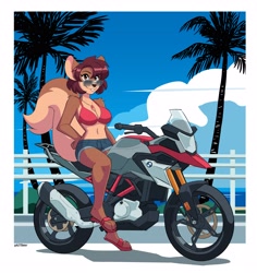 Size: 3000x3184 | Tagged: safe, artist:427deer, oc, oc only, mammal, rodent, squirrel, anthro, digitigrade anthro, bmw, 2021, beach, belly button, bikini, bikini top, black nose, bmw 310 gs, bottomwear, breasts, brown hair, clothes, digital art, ears, female, fur, glasses, hair, high res, jewelry, looking at you, motorcycle, necklace, palm tree, paws, plant, pose, sandals, shoes, shorts, solo, solo female, sunglasses, swimsuit, tail, tree, vehicle