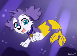 Size: 3000x2200 | Tagged: safe, artist:rex100, canine, dog, fictional species, fish, mammal, mer-pup (paw patrol), feral, nickelodeon, paw patrol, 2021, collar, digital art, ears, female, fur, hair, high res, looking at you, ocean, open mouth, paws, solo, solo female, tail, tongue, underwater, water