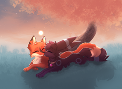 Size: 2600x1900 | Tagged: safe, artist:elisawind, oc, oc:kate, oc:kiara, canine, eeveelution, fictional species, fox, mammal, umbreon, feral, nintendo, pokémon, collar, commission, duo, duo female, ear piercing, earring, eyes closed, female, females only, grass, grass field, happy, lying down, moon, nose boop, piercing, plant, scenery, shipping, smiling, tree