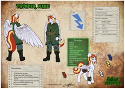 Size: 1332x946 | Tagged: safe, artist:capouccino, oc, oc only, oc:thunder mane, alicorn, equine, fictional species, mammal, pony, anthro, feral, plantigrade anthro, fallout equestria, fallout, friendship is magic, hasbro, my little pony, 2021, anthrofied, bag, blue eyes, commission, cutie mark, female, french text, horn, mare, reference sheet, saddle bag, scar, wings