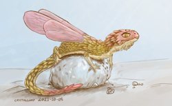Size: 5200x3200 | Tagged: safe, artist:meater6, dragon, fae dragon, fictional species, reptile, feral, 2021, ambiguous gender, insect wings, krita, lying down, prone, rock, sand, scales, signature, solo, solo ambiguous, tail, wings