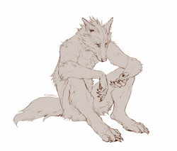 Size: 1280x1090 | Tagged: safe, artist:caraid, canine, fictional species, mammal, werewolf, wolf, anthro, digitigrade anthro, 2021, arm fluff, claws, complete nudity, ears, fluff, leg fluff, male, monochrome, nudity, paws, signature, sitting, sketch, solo, solo male, tail, torn ear