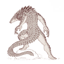 Size: 1278x1280 | Tagged: safe, artist:caraid, mammal, pangolin, anthro, digitigrade anthro, 2021, ambiguous gender, complete nudity, monochrome, nudity, rear view, rock, scales, signature, solo, solo ambiguous, standing, tail, thighs, werebeast