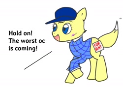 Size: 1416x1036 | Tagged: safe, artist:foxy1219, oc, oc only, oc:foxy who, oc:foxy whooves, canine, fox, hybrid, mammal, hasbro, my little pony, blank flank, cap, clothes, fox pony, hat, headwear, plaid shirt, reference sheet, shirt, simple background, solo, species swap, topwear, white background