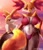 Size: 3474x4000 | Tagged: safe, alternate version, artist:v-tal, braixen, delphox, fictional species, anthro, nintendo, pokémon, 2021, absolute cleavage, big breasts, big butt, bikini, breasts, butt, cleavage, clothes, duo, duo female, ear fluff, female, females only, fluff, hair, high res, looking at you, looking back, looking back at you, smiling, smiling at you, starter pokémon, swimsuit, tail, tail fluff, thick thighs, thighs