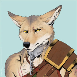 Size: 798x798 | Tagged: safe, artist:titus weiss, oc, oc:caelum, canine, coyote, mammal, anthro, chain, jewelry, male, solo, solo male