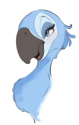 Size: 734x1154 | Tagged: safe, artist:tohupony, jewel (rio), bird, macaw, parrot, spix's macaw, feral, blue sky studios, rio, 2021, 2d, female, simple background, solo, solo female, white background