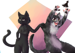 Size: 2105x1488 | Tagged: safe, artist:myikarin, cat, feline, mammal, anthro, ambiguous gender, annoyed, black body, black fur, catching, chest fluff, duo, excited, fluff, fur, grabbing, gray body, gray fur, green eyes, multicolored fur, paw pads, paws, playful, scruff, tease, toy, two toned body, two toned fur, wide eyes, yellow eyes