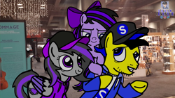 Size: 2019x1137 | Tagged: safe, artist:mrstheartist, oc, oc only, oc x oc, oc:ponyseb 2.0, oc:ruby belle, oc:viola love, equine, fictional species, mammal, pegasus, pony, feral, friendship is magic, hasbro, my little pony, 2021, black outline, bow, clothes, couple, cutie mark, female, filly, foal, hair bow, hoodie, male, male/female, mare, married couple, parent:oc: ponyseb 2.0, parent:oc:viola love, parents:oc x oc, parents:violaseb (oc), ponies in quebec, ponies in real life, shipping, stallion, topwear, unzipped, violaseb (oc), young