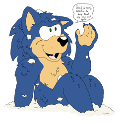 Size: 2664x2664 | Tagged: safe, artist:toonidae, sonic the hedgehog (sonic), hedgehog, mammal, anthro, sega, sonic the hedgehog (series), high res, male, sand, solo, solo male
