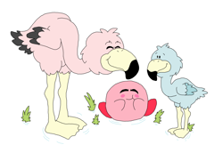 Size: 3216x2208 | Tagged: safe, artist:toonidae, kirby (kirby), bird, fictional species, flamingo, puffball (kirby), feral, semi-anthro, kirby (series), nintendo, ambiguous gender, female, group, high res, male, trio, young