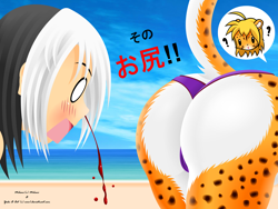 Size: 1600x1200 | Tagged: suggestive, artist:evov1, oc, oc only, oc:mihari, cheetah, feline, human, mammal, anthro, 2014, beach, bikini, bikini bottom, black nose, blood, blushing, butt, cameltoe, clothes, commission, digital art, duo, duo female, ears, eyelashes, female, female/female, females only, fur, hair, innocent, nosebleed, pose, speech bubble, spotted body, spotted fur, swimsuit, thighs, wedgie, wide hips