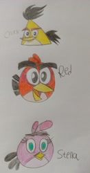 Size: 2096x3992 | Tagged: safe, artist:muhammad yunus, red (angry birds), stella (angry birds), bird, canary, cardinal, cockatoo, parrot, songbird, feral, angry birds, chuck (angry birds), female, galah, group, high res, male, rovio, traditional art, trio