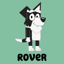 Size: 1280x1280 | Tagged: safe, artist:caspyartist, oc, oc only, oc:rover (bluey), border collie, canine, collie, dog, mammal, semi-anthro, bluey (series), 2d, front view, green background, looking at you, male, simple background, smiling, smiling at you, solo, solo male, three-quarter view