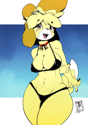 Size: 724x1024 | Tagged: suggestive, artist:zwitterkitsune, isabelle (animal crossing), canine, dog, mammal, shih tzu, anthro, animal crossing, nintendo, 2019, belly button, bikini, black bikini, black nose, black swimsuit, blushing, breasts, clothes, digital art, ears, eyelashes, female, fur, hair, nipple outline, open mouth, simple background, solo, solo female, swimsuit, tail, thighs, tongue, wide hips