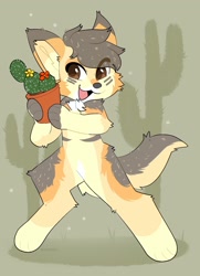 Size: 1486x2048 | Tagged: safe, artist:belovedfoxx, oc, oc only, canine, mammal, anthro, semi-anthro, 2d, brown eyes, cactus, chest fluff, cute, flower, fluff, happy, looking at you, male, open mouth, plant, smiling, solo, solo male