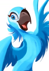 Size: 1111x1613 | Tagged: safe, artist:tohupony, jewel (rio), bird, macaw, parrot, spix's macaw, feral, blue sky studios, rio, 2021, 2d, beak, blue eyes, blue feathers, feathers, female, front view, looking at you, open beak, open mouth, simple background, solo, solo female, spread wings, three-quarter view, white background, wings
