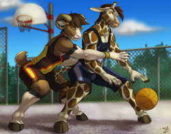 Size: 900x707 | Tagged: safe, artist:tygurstar, bovid, caprine, giraffe, mammal, sheep, anthro, unguligrade anthro, 2014, amber eyes, ball, basketball, black body, black fur, bottomwear, brown body, brown eyes, brown fur, brown hair, clothes, cloven hooves, cream body, cream fur, digital art, duo, duo male, ears, fur, hair, hooves, horns, male, males only, outdoors, pants, ram, signature, spotted fur, tail, tail tuft, topwear