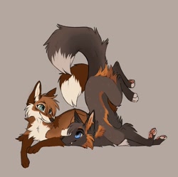 Size: 1027x1024 | Tagged: safe, artist:cryptten, oc, oc only, canine, fox, mammal, feral, 2021, 2d, blue eyes, brown body, brown fur, cream body, cream fur, cute, cute little fangs, duo, duo male, ears, fangs, featured image, fur, happy, looking at each other, male, males only, paw pads, paws, simple background, tail, teeth, underpaw