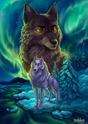 Size: 905x1280 | Tagged: safe, artist:askha, aniu (balto), balto (balto), canine, mammal, wolf, balto (series), alaska, northern lights, snow, winter