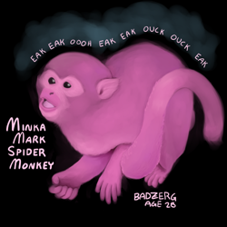 Size: 500x500 | Tagged: safe, artist:mylittlebadzerg, minka mark (lps), mammal, monkey, primate, feral, lifelike feral, hasbro, littlest pet shop, littlest pet shop (2012), 1:1, 2013, female, feralized, fur, low res, non-sapient, pink body, pink fur, realistic, solo, solo female, spider monkey