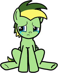 Size: 5200x6597 | Tagged: safe, artist:mrstheartist, oc, oc only, oc:didgeree, equine, fictional species, mammal, pegasus, pony, feral, friendship is magic, hasbro, my little pony, absurd resolution, base used, male, sad, simple background, sitting, solo, solo male, stallion, tears, transparent background