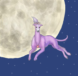 Size: 907x881 | Tagged: safe, artist:queenofstarryheavens, annabelle (all dogs go to heaven), canine, dog, mammal, whippet, feral, all dogs go to heaven, sullivan bluth studios, female, front view, full moon, fur, moon, night, night sky, pink body, pink fur, sky, solo, solo female, stars, three-quarter view