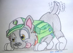 Size: 1280x936 | Tagged: safe, artist:silversimba01, rocky (paw patrol), dog, mammal, mutt, feral, nickelodeon, paw patrol, 2014, bag, black nose, cap, clothes, collar, ears, face down ass up, fur, hat, looking at you, male, simple background, sniffing, solo, solo male, tail, tail wag, tongue, tongue out, topwear, traditional art, vest
