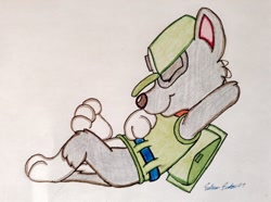 Size: 1280x952 | Tagged: safe, artist:silversimba01, rocky (paw patrol), dog, mammal, mutt, feral, nickelodeon, paw patrol, 2015, bag, black nose, cap, clothes, collar, ears, eyes closed, fur, hat, male, simple background, sleeping, solo, solo male, tail, topwear, traditional art, vest