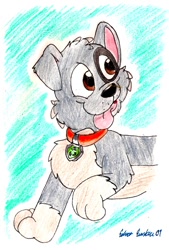Size: 702x1038 | Tagged: safe, artist:silversimba01, rocky (paw patrol), dog, mammal, mutt, feral, nickelodeon, paw patrol, 2013, black nose, collar, ears, fur, male, simple background, solo, solo male, tail, tongue, tongue out, traditional art