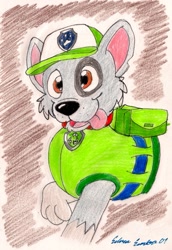 Size: 696x1012 | Tagged: safe, artist:silversimba01, rocky (paw patrol), dog, mammal, mutt, feral, nickelodeon, paw patrol, 2013, bag, black nose, cap, clothes, collar, ears, fur, hat, looking at you, male, open mouth, simple background, solo, solo male, tail, tongue, tongue out, topwear, traditional art, vest