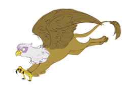 Size: 1000x694 | Tagged: safe, artist:pigeorgien, gilda (mlp), bird, feline, fictional species, gryphon, mammal, feral, friendship is magic, hasbro, my little pony, beak, claws, determined, feathers, female, fluff, flying, fur, hunting, neck fluff, paws, solo, solo female, talons, yellow eyes