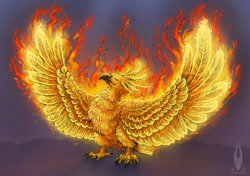 Size: 1280x903 | Tagged: safe, artist:firael, bird, fictional species, phoenix, feral, heroes of might and magic, 2021, beak, bird feet, chest fluff, claws, digital art, eyes closed, feathered wings, feathers, fire, fluff, front view, spread legs, spread wings, tail, tail feathers, talons, watermark, wings, yellow feathers