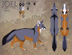 Size: 1280x976 | Tagged: safe, artist:cedarwolf, oc, oc only, oc:joel (mtp123654), canine, fox, gray fox, mammal, feral, 2018, abstract background, black body, black fur, black nose, bottom view, butt fluff, character name, claws, color palette, digital art, ear fluff, fluff, fur, gray body, gray fur, male, orange body, orange fur, paw pads, paws, reference sheet, side view, signature, solo, solo male, tail, tail fluff, top view, underpaw, whiskers, white body, white fur