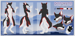 Size: 1735x850 | Tagged: safe, artist:fight, oc, oc only, oc:nusku (mtp123654), canine, mammal, wolf, anthro, digitigrade anthro, 2019, black nose, blep, brown eyes, butt, character name, close-up, color palette, complete nudity, cute, digital art, eyes closed, fluff, front view, fur, gender symbol, gray body, gray fur, happy, looking at you, male, male symbol, neck fluff, nudity, one eye closed, paw pads, paws, raised hand, raised leg, rear view, red body, red fur, reference sheet, side view, smiling, solo, solo male, tail, tail fluff, tongue, tongue out, underpaw, white body, white fur