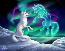 Size: 1200x945 | Tagged: safe, artist:tanidareal, canine, mammal, wolf, feral, 2021, ambiguous gender, aurora borealis, blue eyes, butt fluff, claws, death, dreaming, duo, ear fluff, featured image, fluff, fur, head fluff, ice, neck fluff, night, northern lights, open mouth, paws, scenery, scenery porn, signature, spirit, tail, tail fluff, teeth, white body, white fur