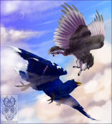 Size: 891x990 | Tagged: safe, artist:skysealer, bird, canine, feline, fictional species, gryphon, mammal, wolf, feral, cloud, duo, feathered wings, feathers, flying, scenery, sky, wings