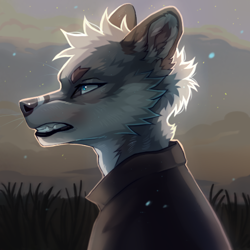 Size: 500x500 | Tagged: safe, artist:fewtish, canine, mammal, anthro, 2011, ambiguous gender, bust, cheek fluff, clothes, digital art, ear fluff, fluff, fur, gray body, gray fur, gritted teeth, head fluff, low res, portrait, profile, side view, solo, solo ambiguous, teeth, white body, white fur