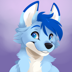 Size: 1000x1000 | Tagged: safe, artist:feve, oc, oc only, canine, mammal, anthro, 2021, ambiguous gender, black nose, blue body, blue eyes, blue fur, blue hair, bust, cheek fluff, colored pupils, digital art, fluff, fur, hair, portrait, smiling, solo, solo ambiguous, teeth, white body, white fur
