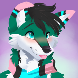Size: 1000x1000 | Tagged: safe, artist:feve, canine, mammal, anthro, 2021, black body, black fur, black hair, blep, blue eyes, blushing, bust, cheek fluff, clothes, cute, digital art, fluff, fur, green body, green fur, hair, male, neck fluff, pink body, pink fur, portrait, scarf, smiling, solo, solo male, three-quarter view, tongue, tongue out, white body, white fur