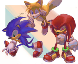 Size: 1280x1056 | Tagged: safe, artist:shootyrefutey, knuckles the echidna (sonic), miles "tails" prower (sonic), sonic the hedgehog (sonic), canine, echidna, fox, hedgehog, mammal, monotreme, red fox, anthro, plantigrade anthro, sega, sonic heroes, sonic the hedgehog (series), 2021, dipstick tail, fluff, male, males only, multiple tails, orange tail, quills, red tail, tail, tail fluff, team sonic (sonic), trio, trio male, two tails, white tail