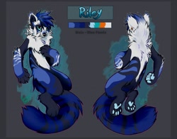 Size: 1280x1002 | Tagged: safe, artist:kitakettu, oc, oc only, oc:riley (robbygood), mammal, red panda, anthro, digitigrade anthro, 2018, abstract background, arm fluff, black body, black fur, black nose, blue body, blue eyes, blue fur, blue hair, butt fluff, character name, chest fluff, color palette, complete nudity, digital art, ear fluff, featureless crotch, fluff, front view, fur, hair, leg fluff, looking at you, male, neck fluff, nudity, paw pads, paws, rear view, reference sheet, ringtail, solo, solo male, striped fur, tail, tail fluff, three-quarter view, underpaw, white body, white fur