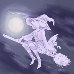Size: 1200x1200 | Tagged: safe, artist:plague of gripes, canine, cat, dog, feline, mammal, anthro, feral, cc by-nc, creative commons, 2016, clothes, cloud, duo, female, flying, flying broomstick, full moon, hat, limited palette, moon, night, outdoors, shoes, witch, witch hat