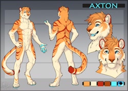 Size: 1280x905 | Tagged: safe, artist:guttertongue, oc, oc only, oc:axton (ns22highwater), big cat, feline, mammal, tiger, anthro, digitigrade anthro, 2019, abstract background, blue body, blue eyes, blue tongue, brown nose, butt, character name, cheek fluff, chest fluff, claws, color palette, colored tongue, complete nudity, cream body, cream fur, digital art, featureless crotch, fluff, front view, fur, hair, looking at you, looking sideways, male, neck fluff, nudity, open mouth, orange body, orange fur, orange hair, paw pads, paws, rear view, red body, red fur, reference sheet, sharp teeth, smiling, solo, solo male, striped fur, tail, teeth, three-quarter view, tongue