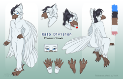 Size: 1196x770 | Tagged: safe, artist:kwik, oc, oc only, oc:kalo division, bird, bird of prey, fictional species, hawk, hybrid, phoenix, anthro, 2018, abstract background, beak, bird feet, bird hands, bird soles, black hair, blue eyes, brown body, butt, color palette, complete nudity, digital art, eyebrow through hair, eyebrows, feathers, featureless crotch, front view, hair, heart, looking at you, looking back, looking back at you, male, nudity, open mouth, rear view, reference sheet, signature, soles, solo, solo male, standing, tail, tail feathers, three-quarter view, tongue, white feathers, white hair